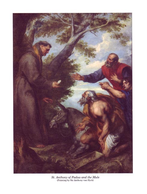 Reading 8 for Young Catholics Comprehension (key in book)