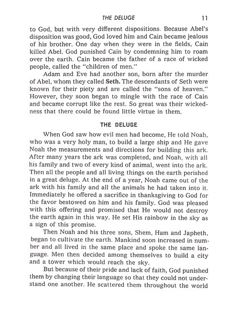 Concise Bible History